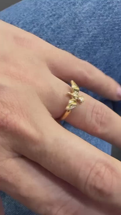 ANEL ESPÍRITO SANTO